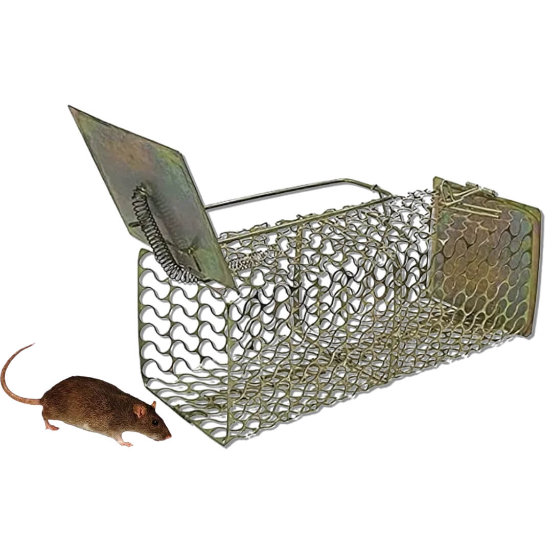 Heavy Iron Rat Trap/Mouse Rat Catcher/Rat Cage/Chuha Pinjra for Catching Rat/Mouse/Squirrels/Rodent/Chipmunk - Small Size