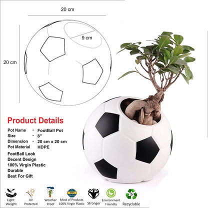 Unique Football Shape Planter and Trendy Pot for Indoor and Outdoor Gardening, Table Top Football Pot White & Black