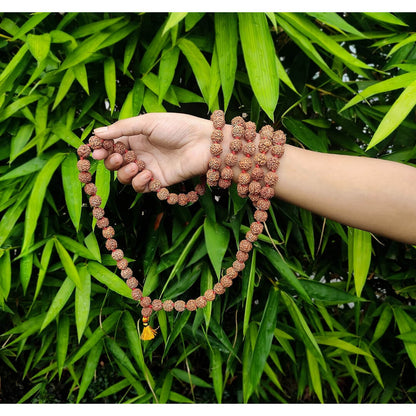 Punch Mukhi Rudraksh Mala (5 face) Genuine Rudraksha Beads Ornament Rosary Japa Mala, 108 Beads 10-12 MM Size for Yoga Meditation