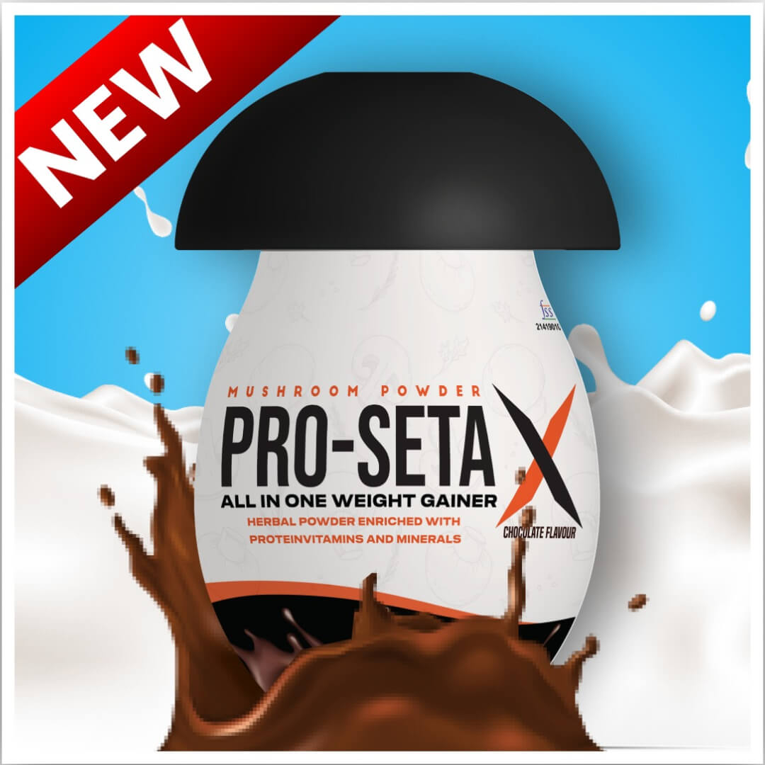 Pro Seta X Chocolate Falvour Mushroom Powder, Ayurvedic Mushroom Powder For Weight Gain, Protein Mushroom Powder For Unisex, (100g)