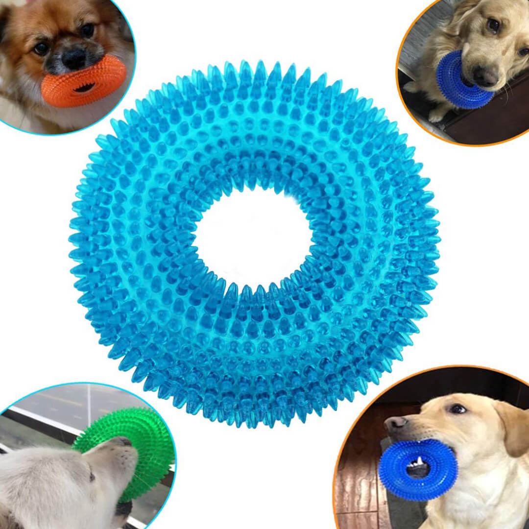 Teething Ring Chew Toy for Dogs, Puppy Dog Squeaky Chew Toys for Aggressive Chewers (Non-Toxic Soft Natural Rubber) 1Pcs. (Assorted Colour)