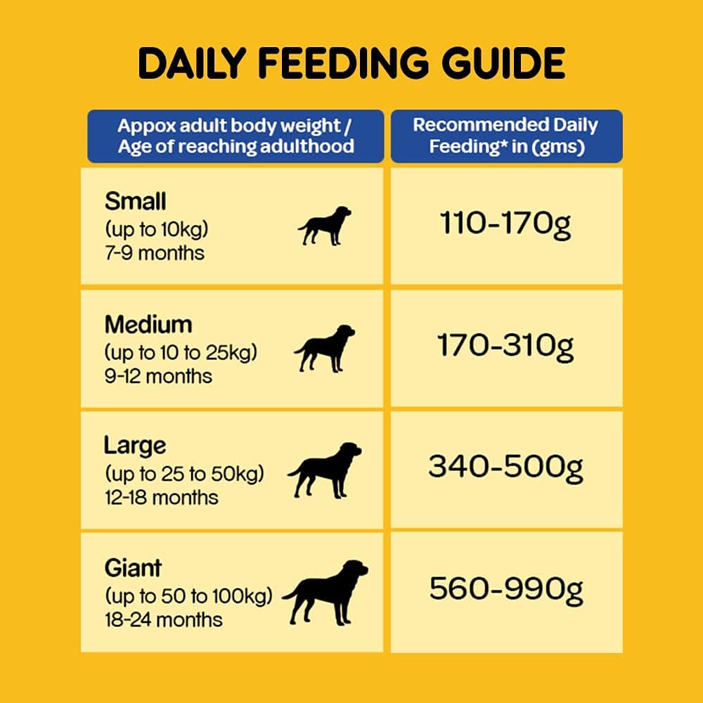वंशावली वयस्क सूखे कुत्ते का भोजन, चिकन और सब्जियां, 400 ग्राम पैक