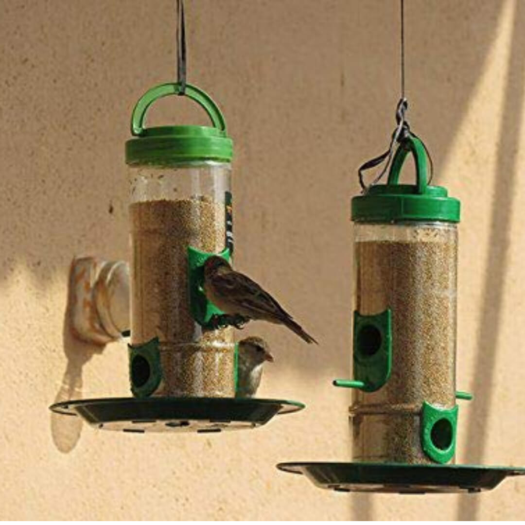 2 in 1 Double Decker Medium Bird Food and Water Feeder (Transparent, Green) - Pack of 1
