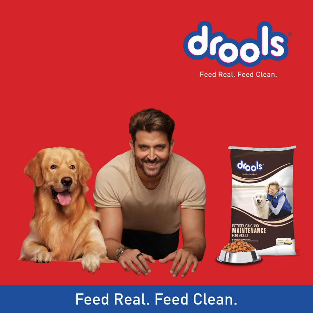 Drools Maintenance Adult Dry Dog Food, Chicken Flavour, 22kg (20kg with 2kg Free Inside)