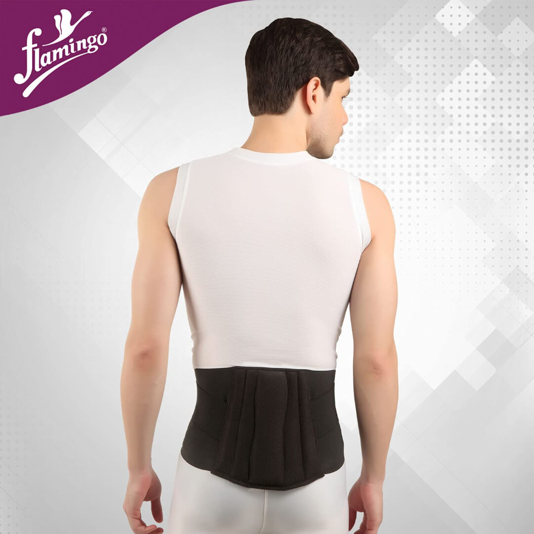Flamingo Lumbar Support Waist Belt for Back Pain Relief