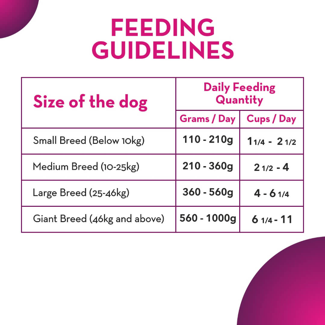 Maxi Adult Dog Food, Chicken and Liver, 20 kg