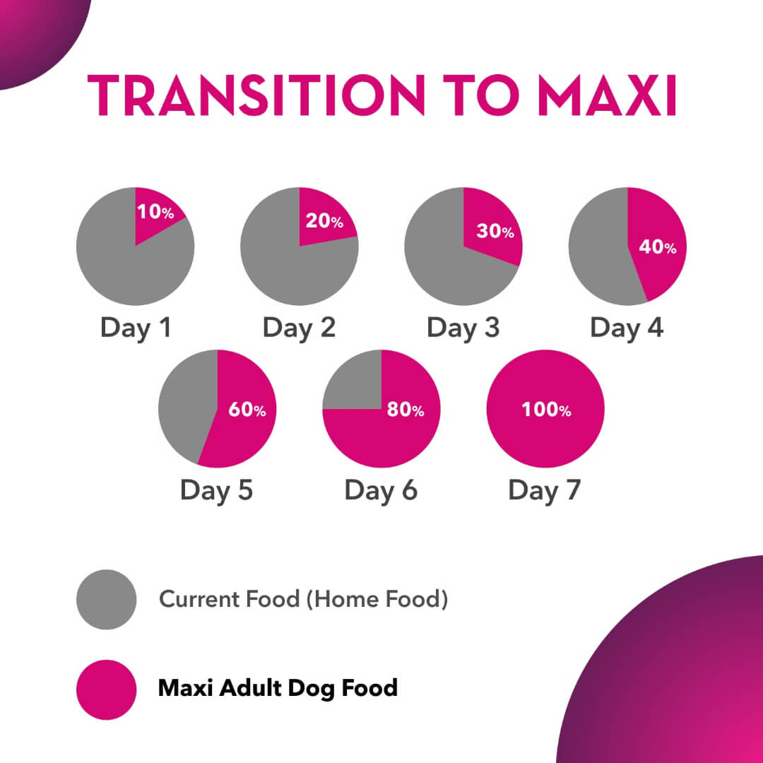 Maxi Adult Dog Food, Chicken and Liver, 20 kg