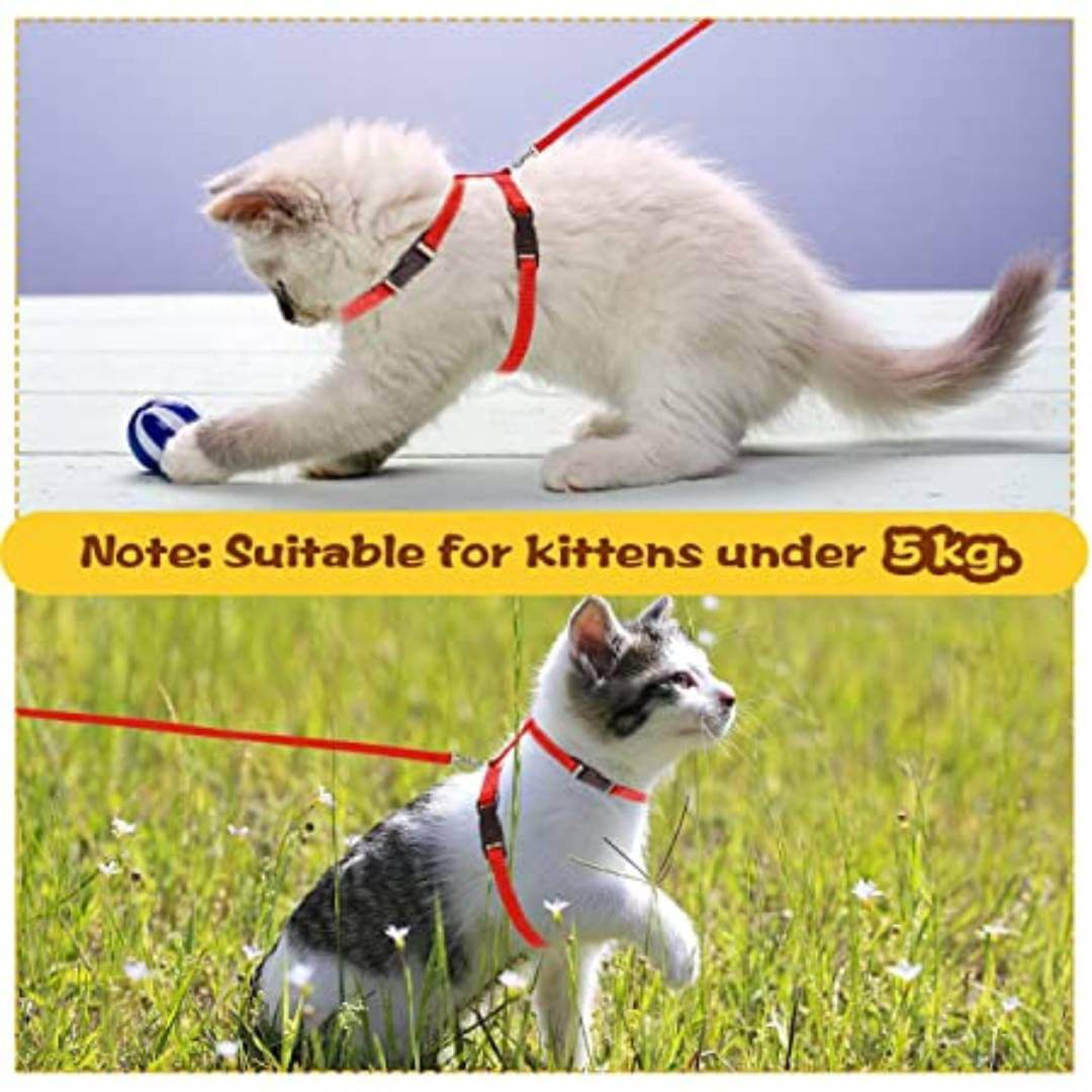 Cat Harness Leash Nylon Set for Cat Rabbit Kitten and Small Pet Nylon Harness Strap Collar /Cat Training Leash Lead (Red)