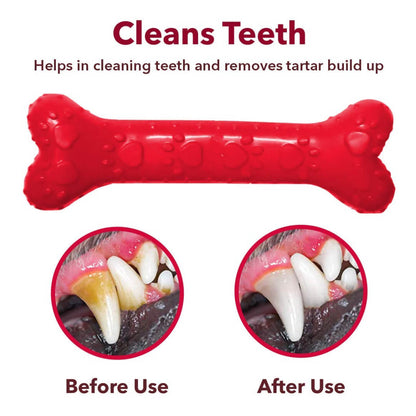 Non-Toxic Rubber Dog Chew Bone Toy, Puppy/Dog Teething Toy (Medium) - 5 inches, Red
