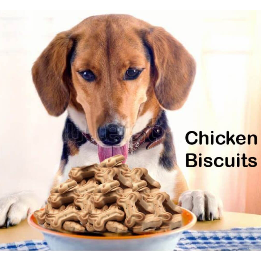 ओवन बेक किया हुआ डॉग बिस्कुट (चिकन फ़ेवर), पिल्लों के लिए एक उत्तम उपचार_ कुत्ते को चबाना (चिकन बिस्कुट 500 ग्राम)