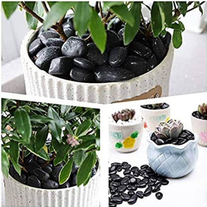 Black Pebbles for Decoration - Pebbles for Plants Pots - Pebbles for Garden, Table and Home Decor, Vase Fillers (450 Grams, Black Stone)